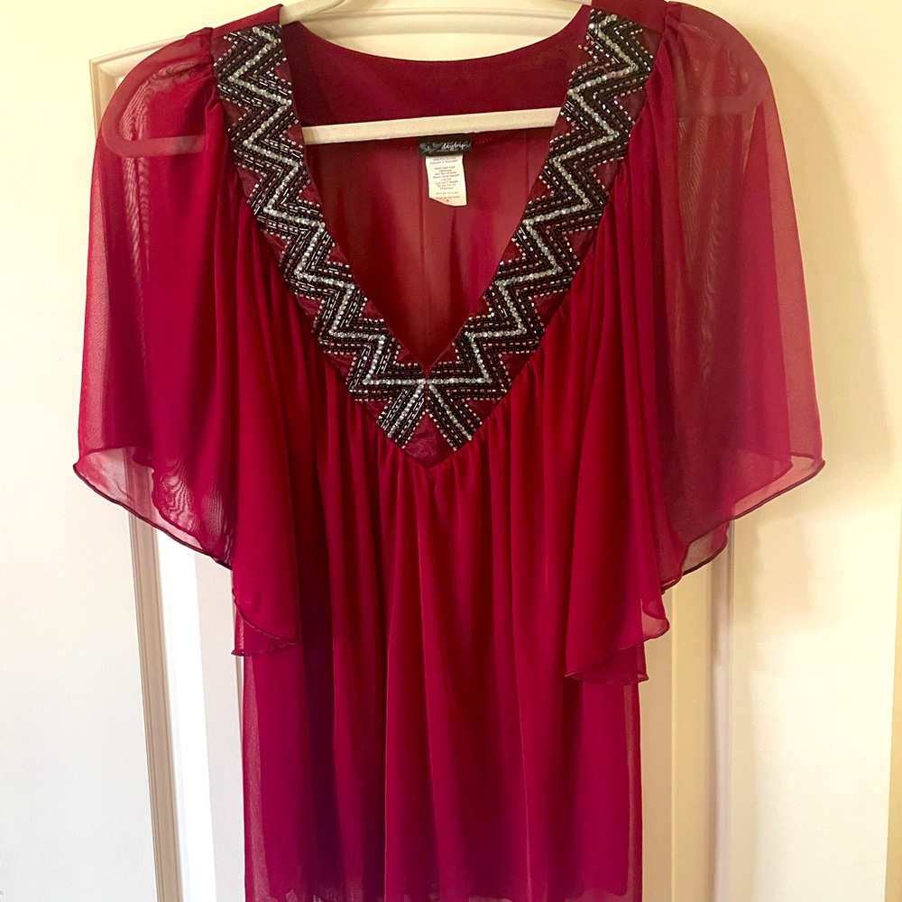 Sheer V-Neck Top